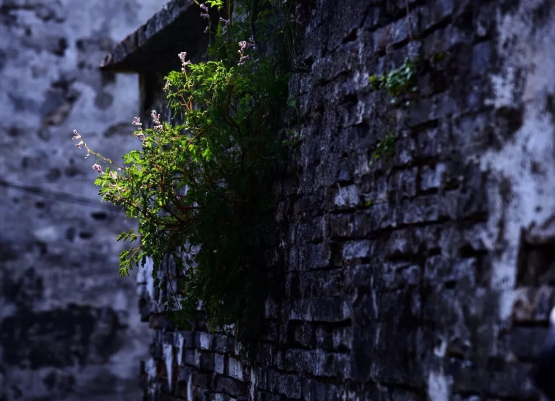 1666061271937241.png 20200226154852_75640.png