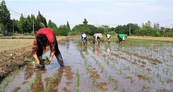 1666061294536389.png 20200226154852_75640.png