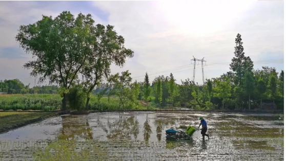 1666061332241146.png 20200226154852_75640.png