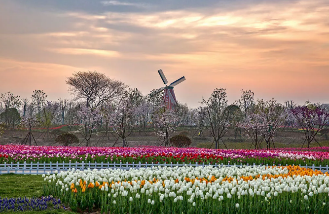 1666145236794243.png 1666145236794243.png