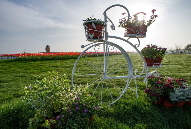 1666145283950142.png 1666145283950142.png