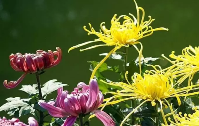 1666158673199780.png 1666158673199780.png