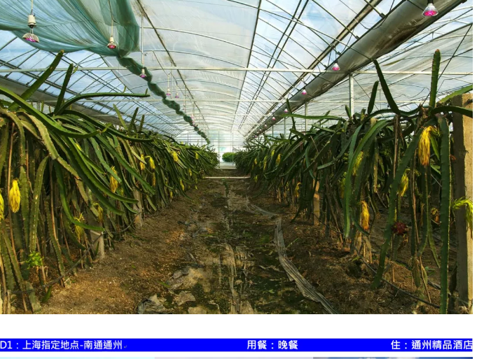 1666160284104251.png 20181211150149_50576.png